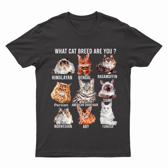 Funny Cat Lover Personality Est Cat Breed Cute Cats Breeds T-Shirt