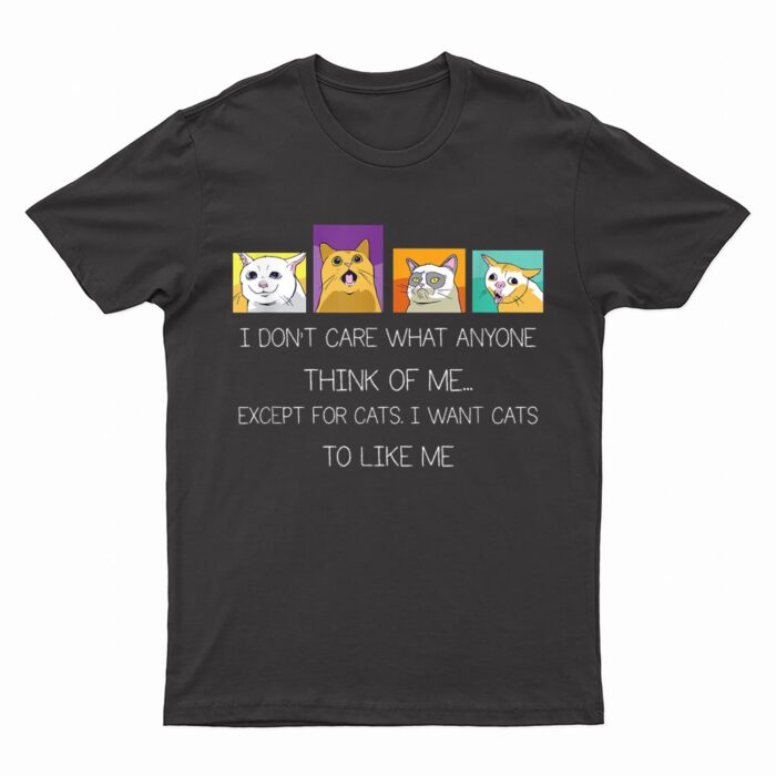 Funny I Don't Care What Anyone Think Of Me Except Black Cat T-Shirt