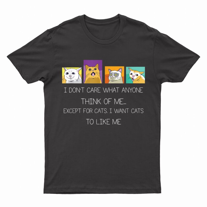Funny I Don't Care What Anyone Think Of Me Except Black Cat T-Shirt